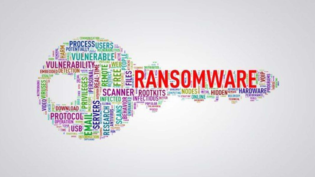 Cyber Cogeanu The Ransomware Defence Journey: Shielding Your Organization from Cyber Extortion